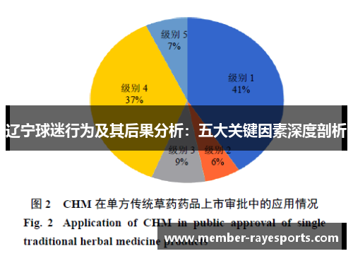 辽宁球迷行为及其后果分析:五大关键因素深度剖析 辽宁球迷行为及其后果分析:五大关键因素深度剖析