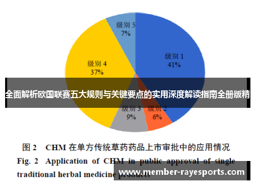 全面解析欧国联赛五大规则与关键要点的实用深度解读指南全册版精