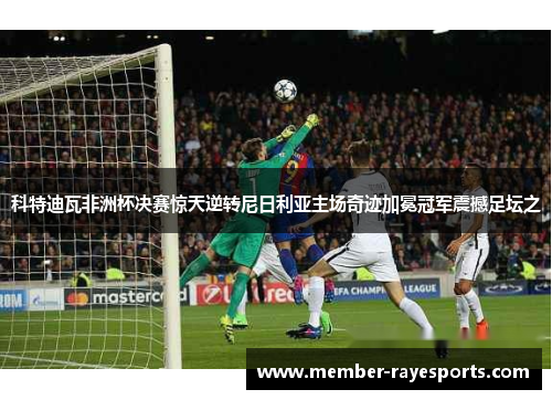 科特迪瓦非洲杯决赛惊天逆转尼日利亚主场奇迹加冕冠军震撼足坛之