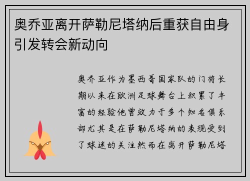 奥乔亚离开萨勒尼塔纳后重获自由身引发转会新动向 奥乔亚离开萨勒尼塔纳后重获自由身引发转会新动向